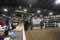 My Gallery: Image