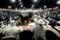 My Gallery: Image