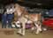 My Gallery: Image