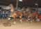 My Gallery: Image