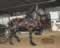 My Gallery: Image