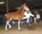 My Gallery: Image