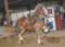 My Gallery: Image