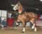 My Gallery: Image