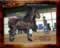 My Gallery: Image