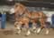 My Gallery: Image