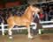 My Gallery: Image