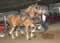 My Gallery: Image