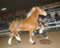 My Gallery: Image