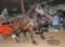 My Gallery: Image