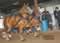 My Gallery: Image