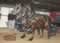 My Gallery: Image