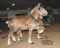 My Gallery: Image