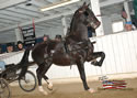 North American Dutch Harness Horse Sale : Image