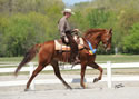 WALK Spring Fun Show: Image