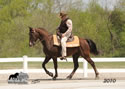 WALK Spring Fun Show: Image
