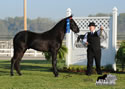 WALK Spring Fun Show: Image