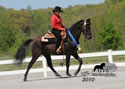 WALK Spring Fun Show: Image
