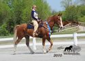 WALK Spring Fun Show: Image