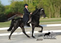 WALK Spring Fun Show: Image
