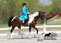 WALK Spring Fun Show: Image