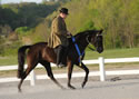 WALK Spring Fun Show: Image