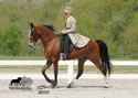 WALK Spring Fun Show: Image