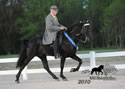 WALK Spring Fun Show: Image