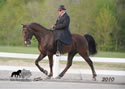 WALK Spring Fun Show: Image
