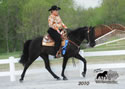WALK Spring Fun Show: Image