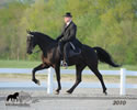 WALK Spring Fun Show: Image