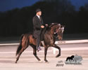 WALK Spring Fun Show: Image