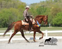 WALK Spring Fun Show: Image