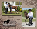 WALK Spring Fun Show: Image