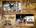 Four States Classic: Image