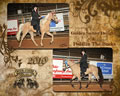 Four States Classic: Image