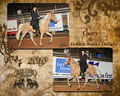 Four States Classic: Image