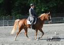TarHeel PlantionClassic: Image