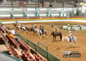 TarHeel PlantionClassic: Image