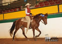TarHeel PlantionClassic: Image