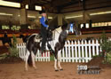 TarHeel PlantionClassic: Image