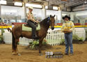 TarHeel PlantionClassic: Image
