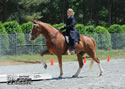 TarHeel PlantionClassic: Image