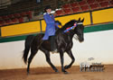 TarHeel PlantionClassic: Image