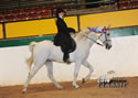 TarHeel PlantionClassic: Image