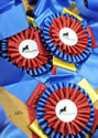 TarHeel PlantionClassic: Image