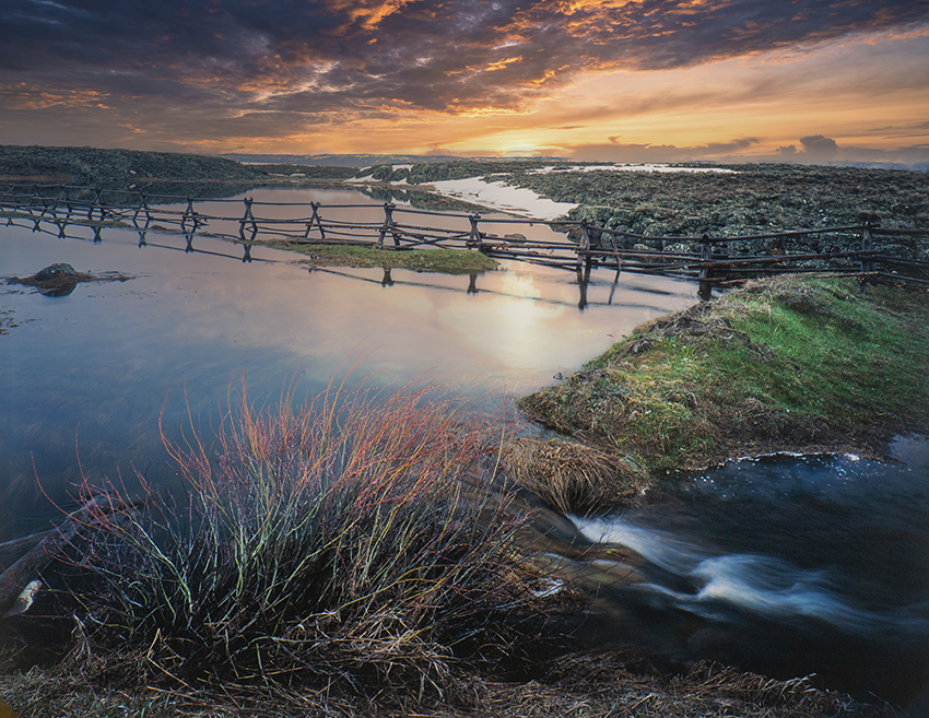 Idaho Landscape