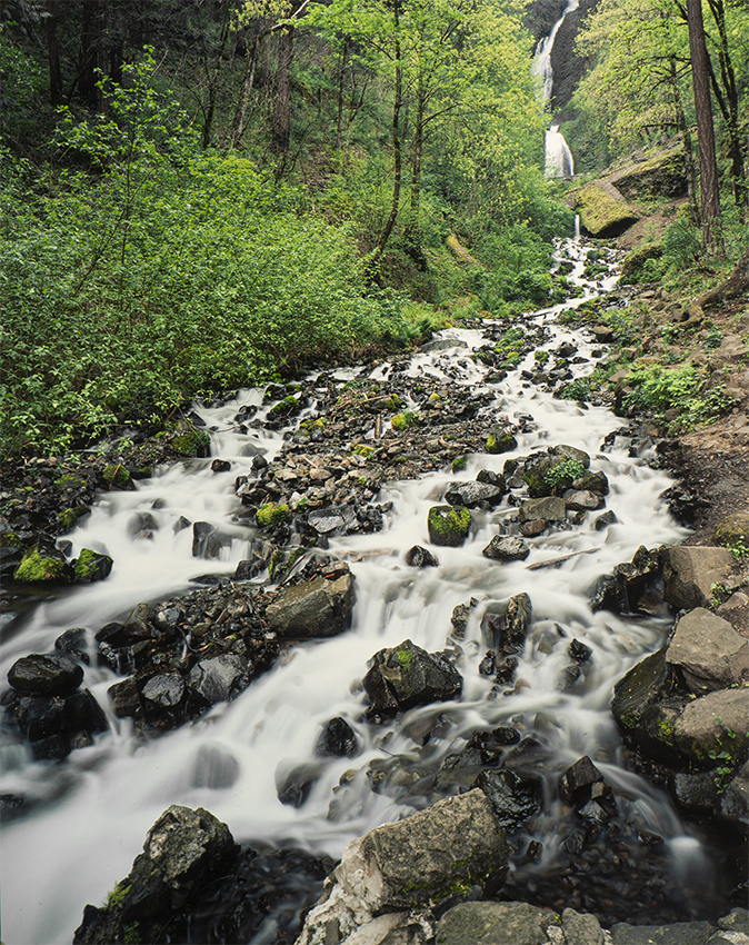Washington State Stream